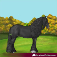 Horse Color:Black Varnish 