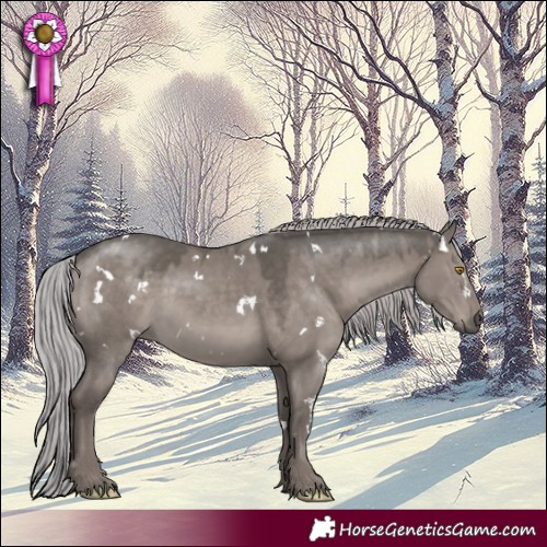 Horse Color:Platinum White Spotted Silver Grullo Rabicano 