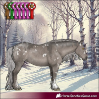 Horse Color:Powder White Platinum White Spotted Silver Grullo Rabicano