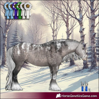 Horse Color:Powder White Platinum Silver Brown Dun Rabicano 
