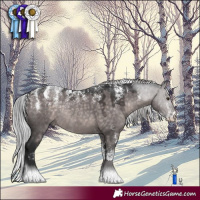 Horse Color:Powder White Platinum Silver Brown Dun Rabicano 