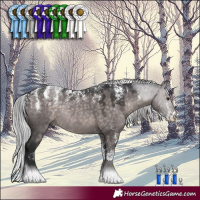 Horse Color:Powder White Platinum Silver Brown Dun Rabicano