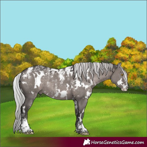 Horse Color:Powder White Platinum White Spotted Silver Grullo 