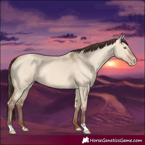 Horse Color:Amber Champagne Dun 