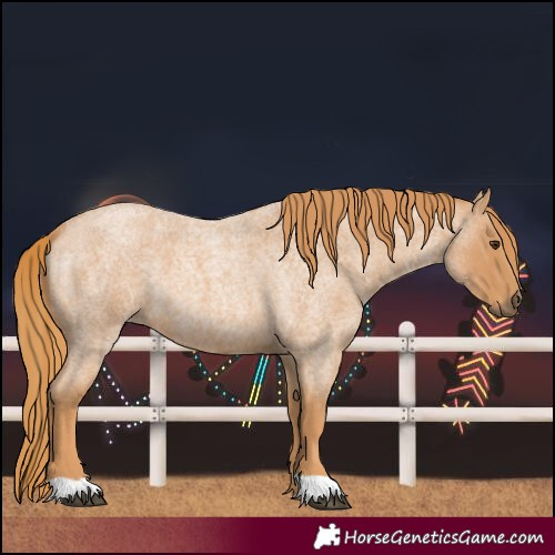 Horse Color:Red Roan