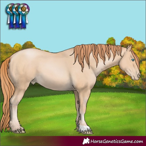 Horse Color:Buckskin Pearl