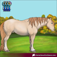 Horse Color:Buckskin Pearl