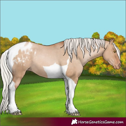 Horse Color:Silver Bay Pearl Dun Tobiano Varnish Rabicano
