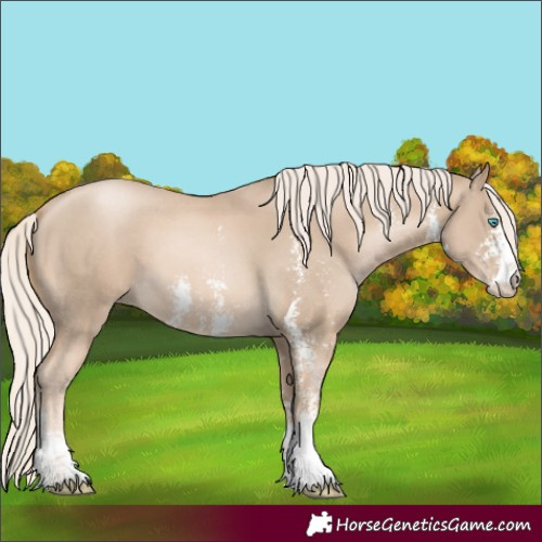 Horse Color:Chocolate Palomino Pearl Sabino