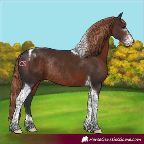 Horse Color:Liver Chestnut Sabino Tobiano Rabicano 