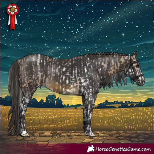 Horse Color:Silver Buckskin Sabino Appaloosa and Buckskin