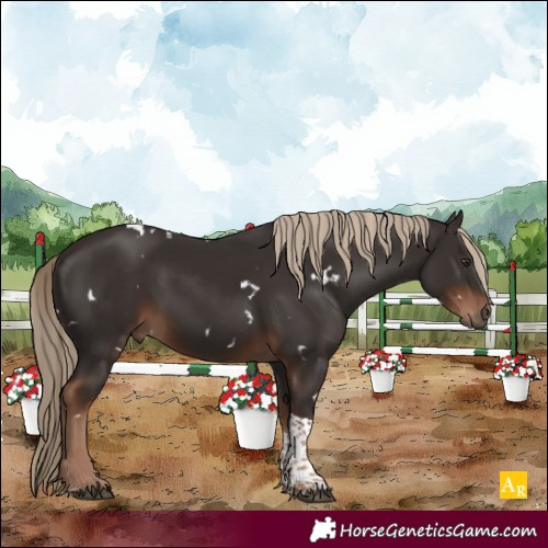 Horse Color:White Spotted Liver Chestnut Tobiano 