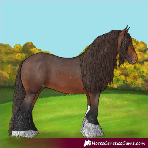 Horse Color:Brown Tobiano Skewed LP Spotted