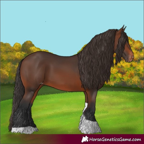 Horse Color:Brown Tobiano Skewed Appaloosa 