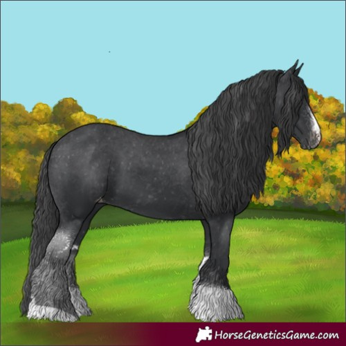Horse Color:Black Sabino Tobiano Skewed LP Spotted 