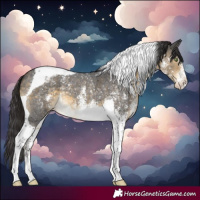 Horse Color:Buckskin Sabino Tobiano Blanket