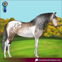 Horse Color:Gray Bay Dun Mushroom Tobiano Blanket 