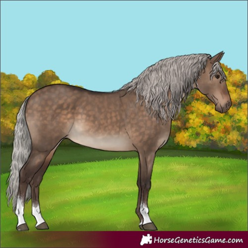 Horse Color:Silver Brown Dun Tobiano 