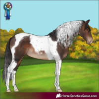 Horse Color:Brown Tobiano Varnish