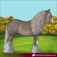 Horse Color:White Spotted Silver Black Rabicano 