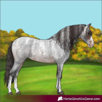 Horse Color:Powder White Brown Roan Varnish Rabicano
