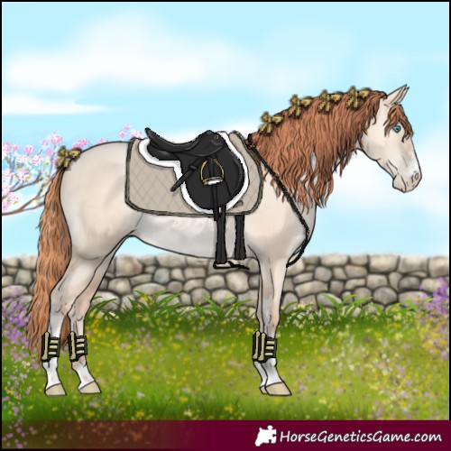 Horse Color:Amber Champagne Pearl Dun Sabino 