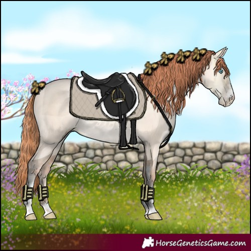 Horse Color:Amber Champagne Pearl Dun Sabino 