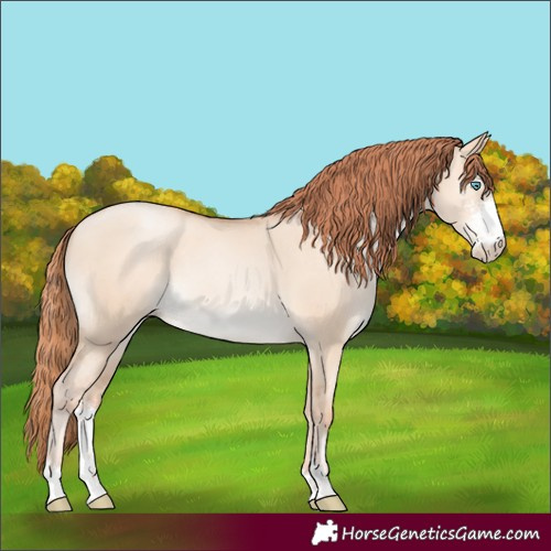 Horse Color:Amber Champagne Pearl Dun Sabino 