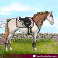 Horse Color:Amber Champagne Pearl Dun Sabino 