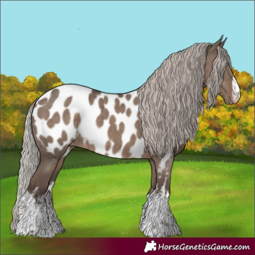 Horse Color:White Spotted Silver Grullo Blanket Brindle