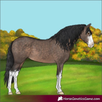Horse Color:White Spotted Brown Dun Mushroom
