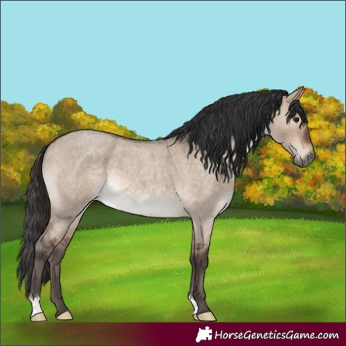 Horse Color:Brown Roan Dun 