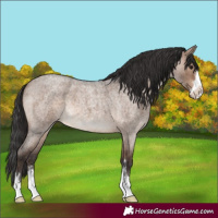 Horse Color:Brown Roan Dun Brindle 