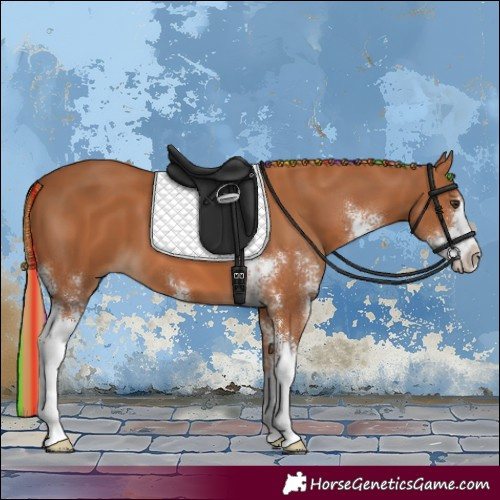 Horse Color:Painted Chestnut Sabino 