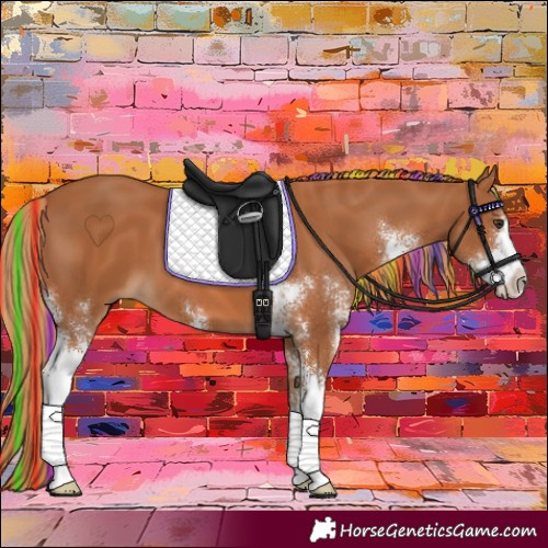 Horse Color:Painted Chestnut Sabino 