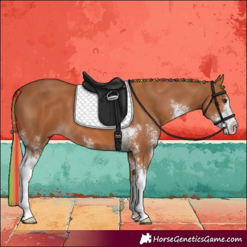 Horse Color:Painted Chestnut Sabino 