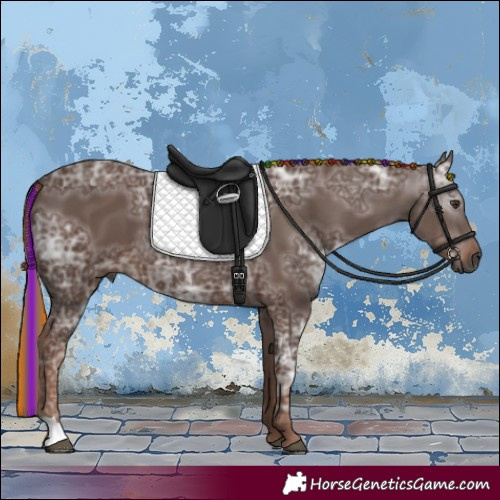 Horse Color:Gray Painted Chestnut Ice 
