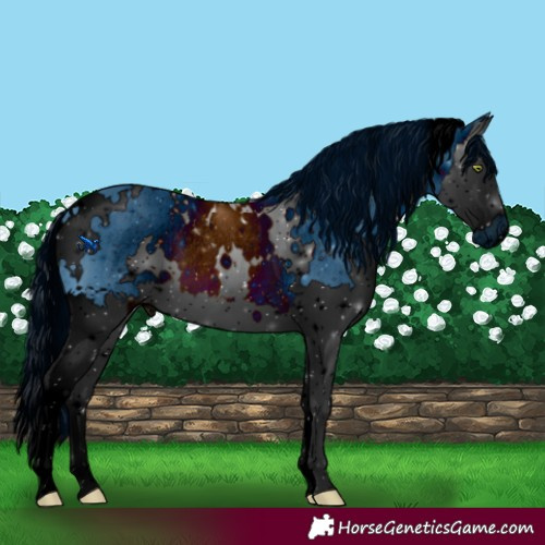 Horse Color:ERROR: UNKNOWN ANOMALY