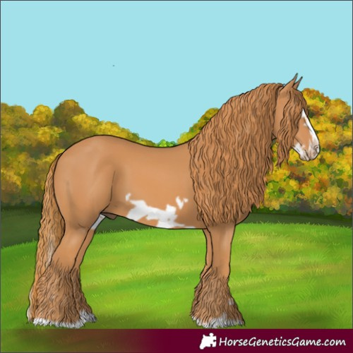 Horse Color:Chestnut Splash Frame 