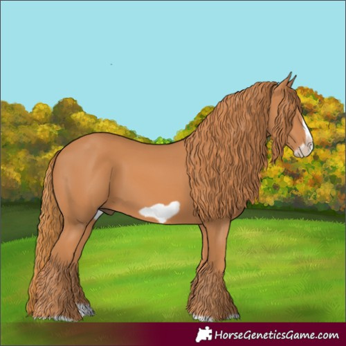 Horse Color:Chestnut Splash Frame 