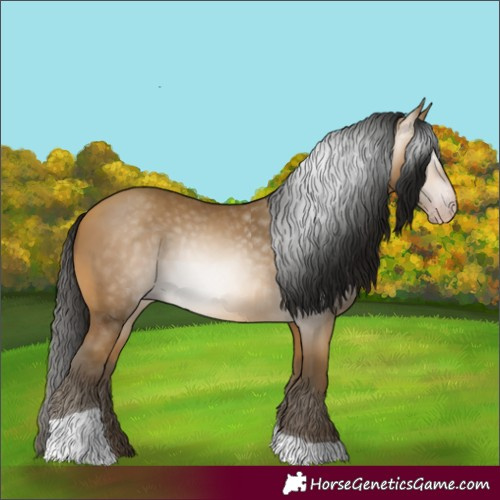 Horse Color:Gray Amber Cream Champagne Tobiano