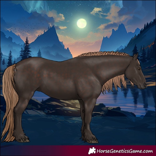 Horse Color:Liver Chestnut Rabicano 