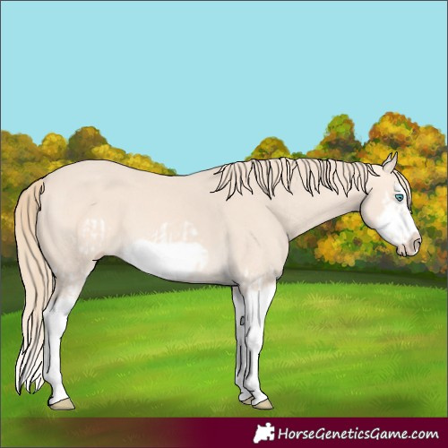 Horse Color:Perlino Splash Frame  and Perlino Splash Frame 