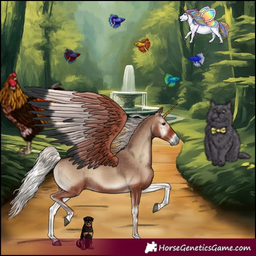Horse Color:Silver Blue Onyx