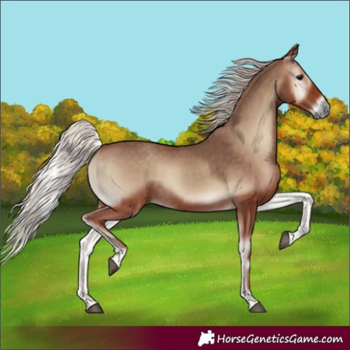 Horse Color:Silver Blue Onyx 
