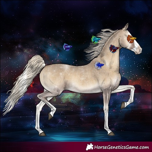 Horse Color:Silver Smoky Blue Onyx Roan Splash 