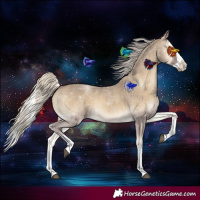 Horse Color:Silver Smoky Blue Onyx Roan Splash