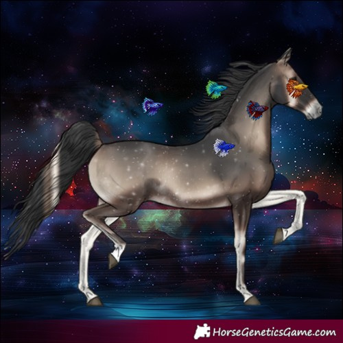 Horse Color:Blue Onyx Rabicano