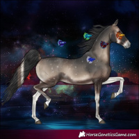 Horse Color:Blue Onyx Rabicano 