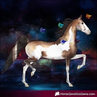 Horse Color:Brown Onyx Frame 